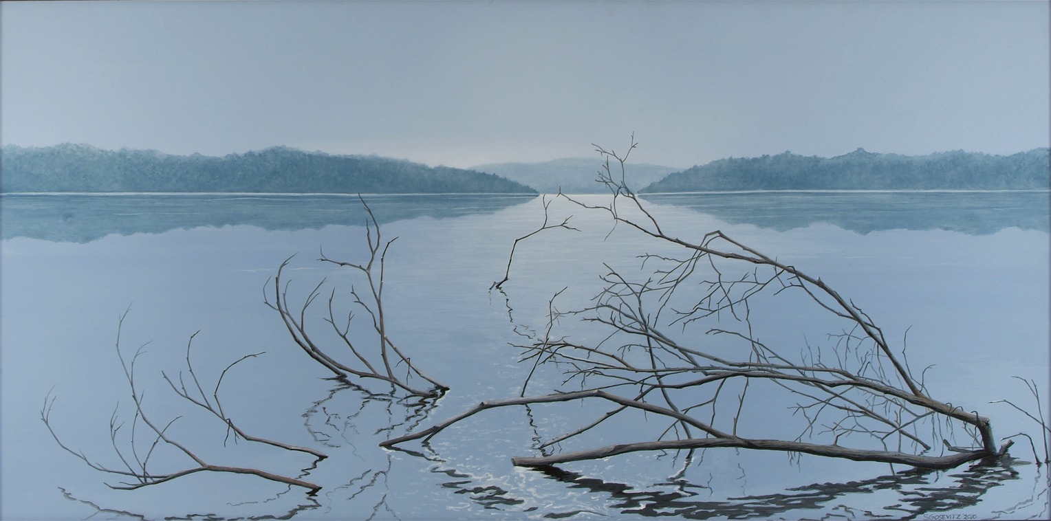 floating branch on misty lake soft tones