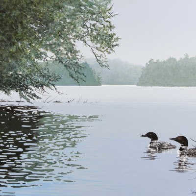Loons on the lake