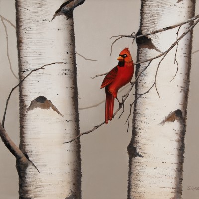Red Cardinal and Birch