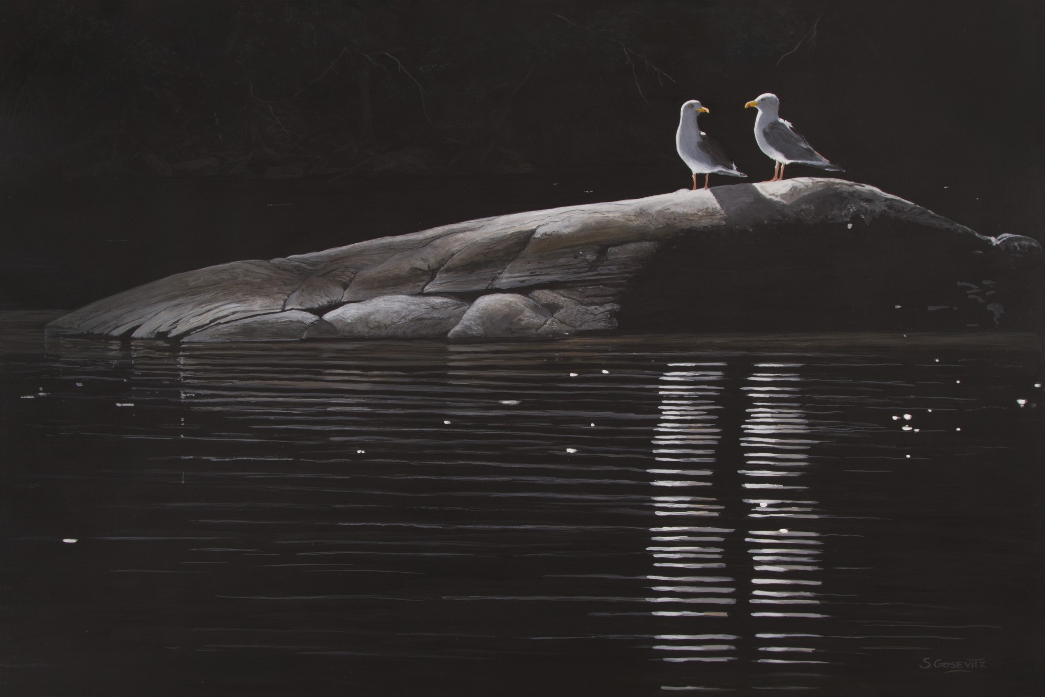 Two gulls sitting on a rock in the shadows, Lake Rosseau