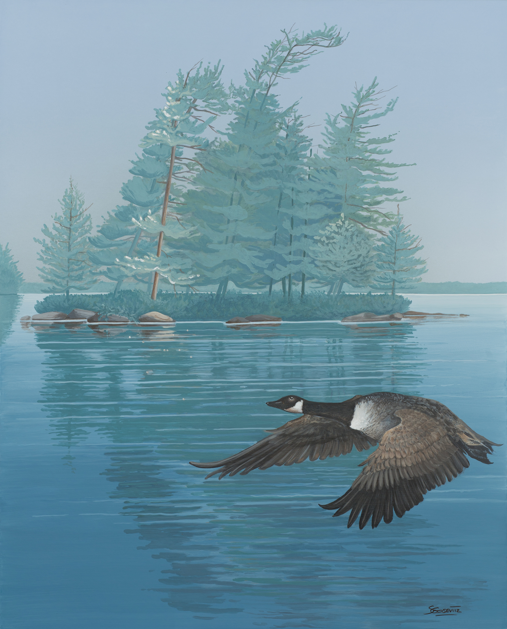 windswept island lake scene with a Canada geese flying in foreground
