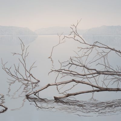 Fallen Branches Series
