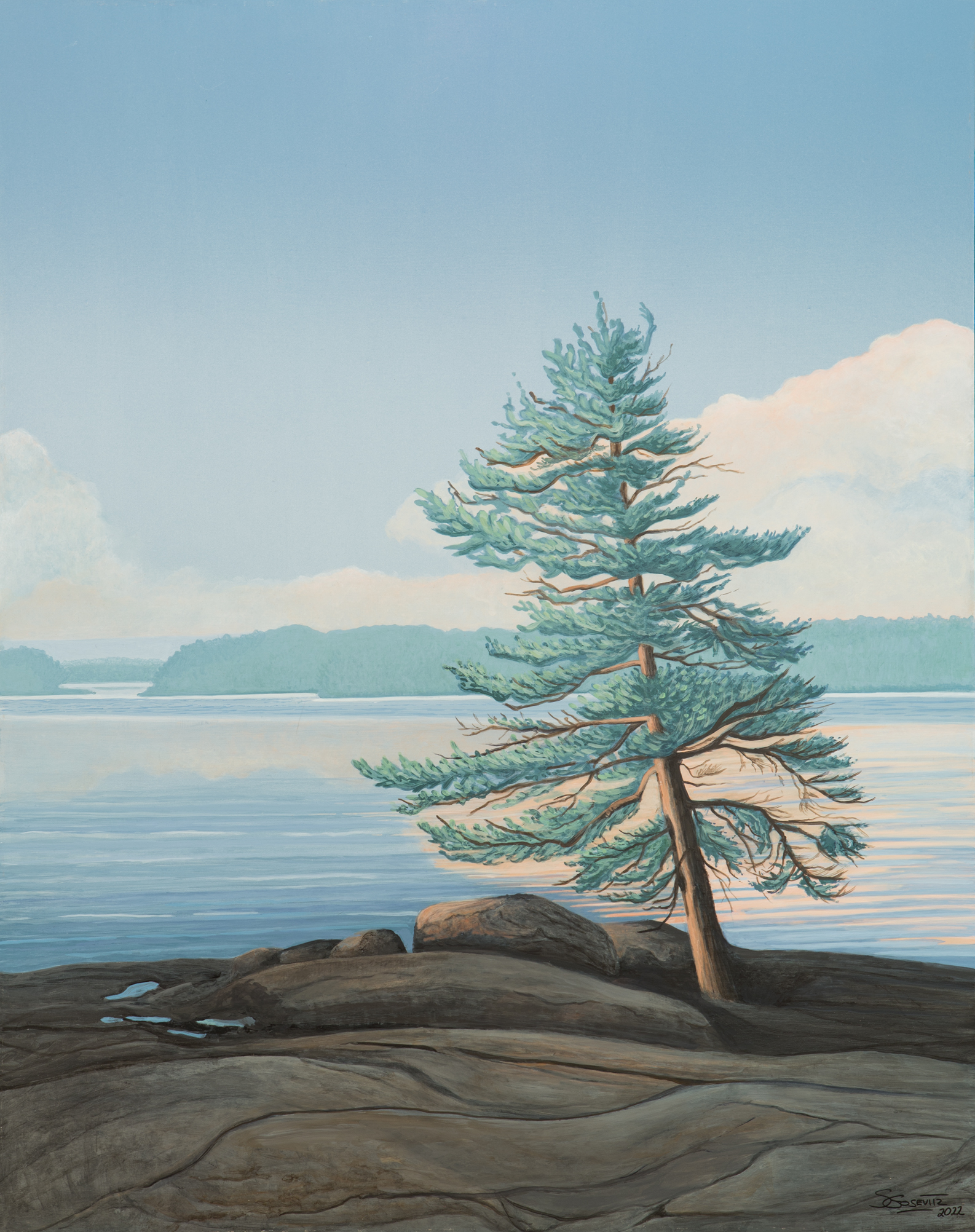 Georgian Bay Pine , blue greens, Muskoka, original painting